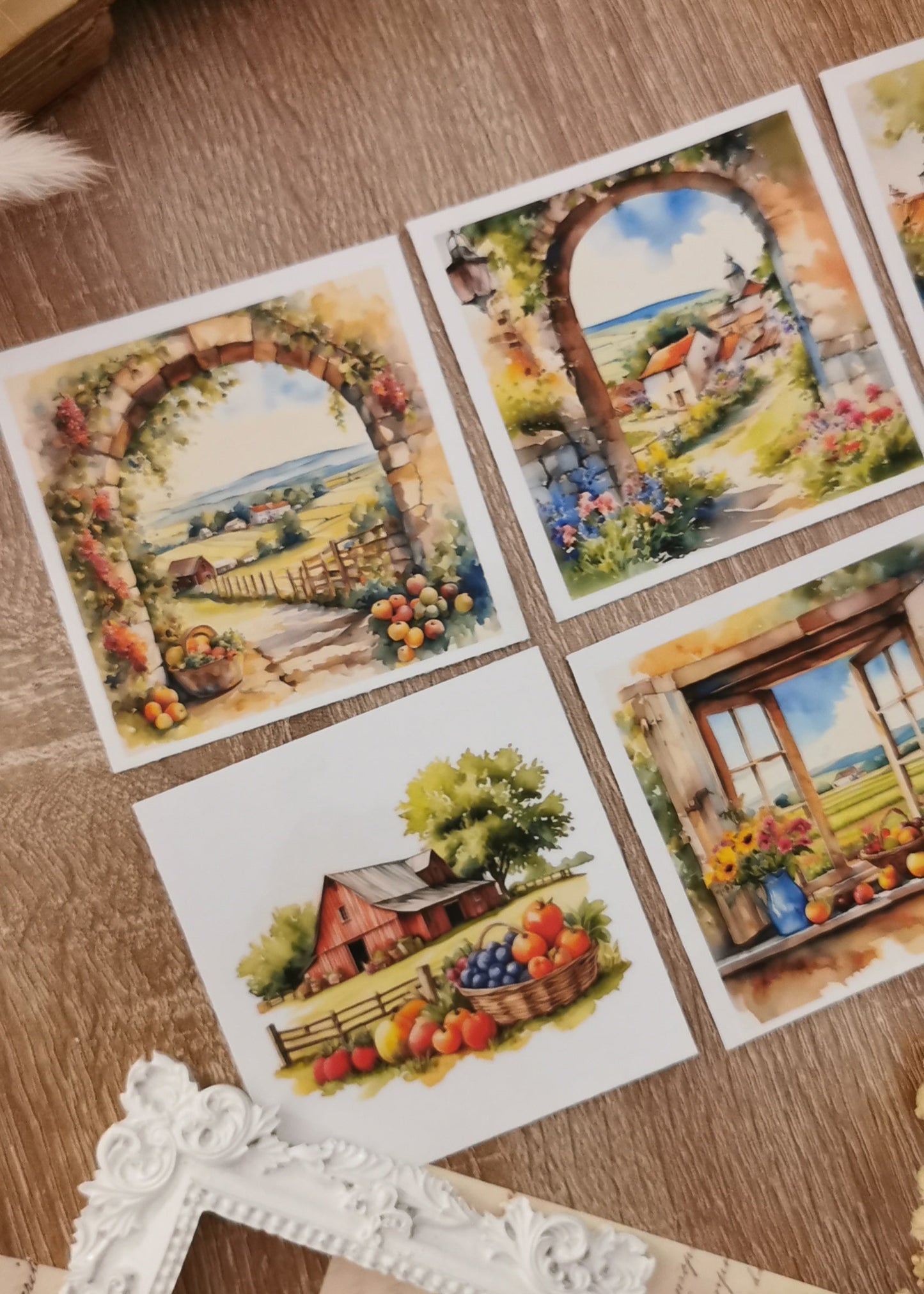 Summer Countryside