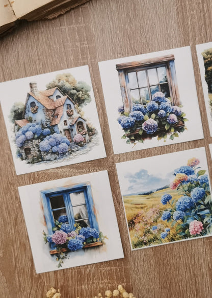 Hydrangea Blues