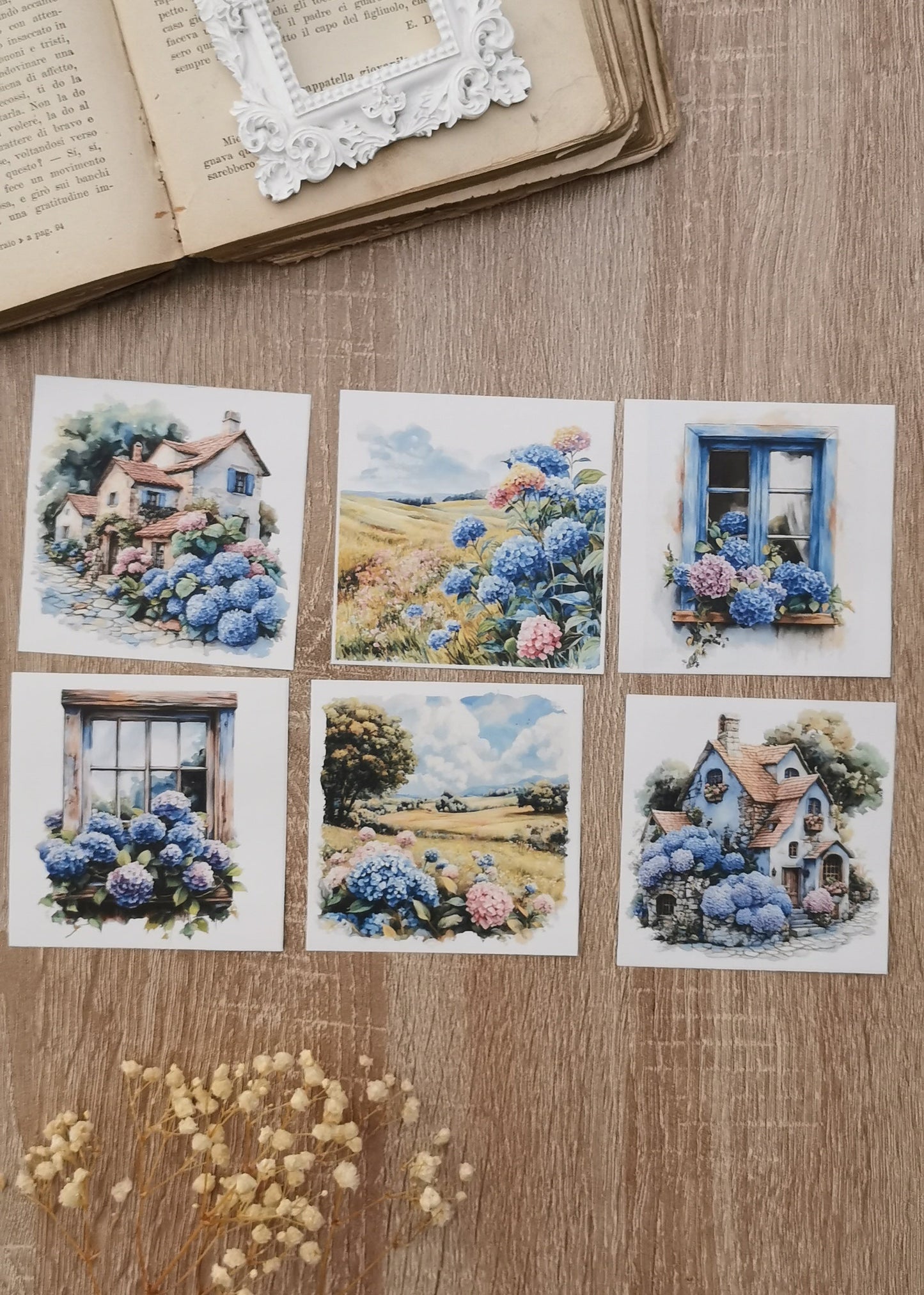 Hydrangea Blues