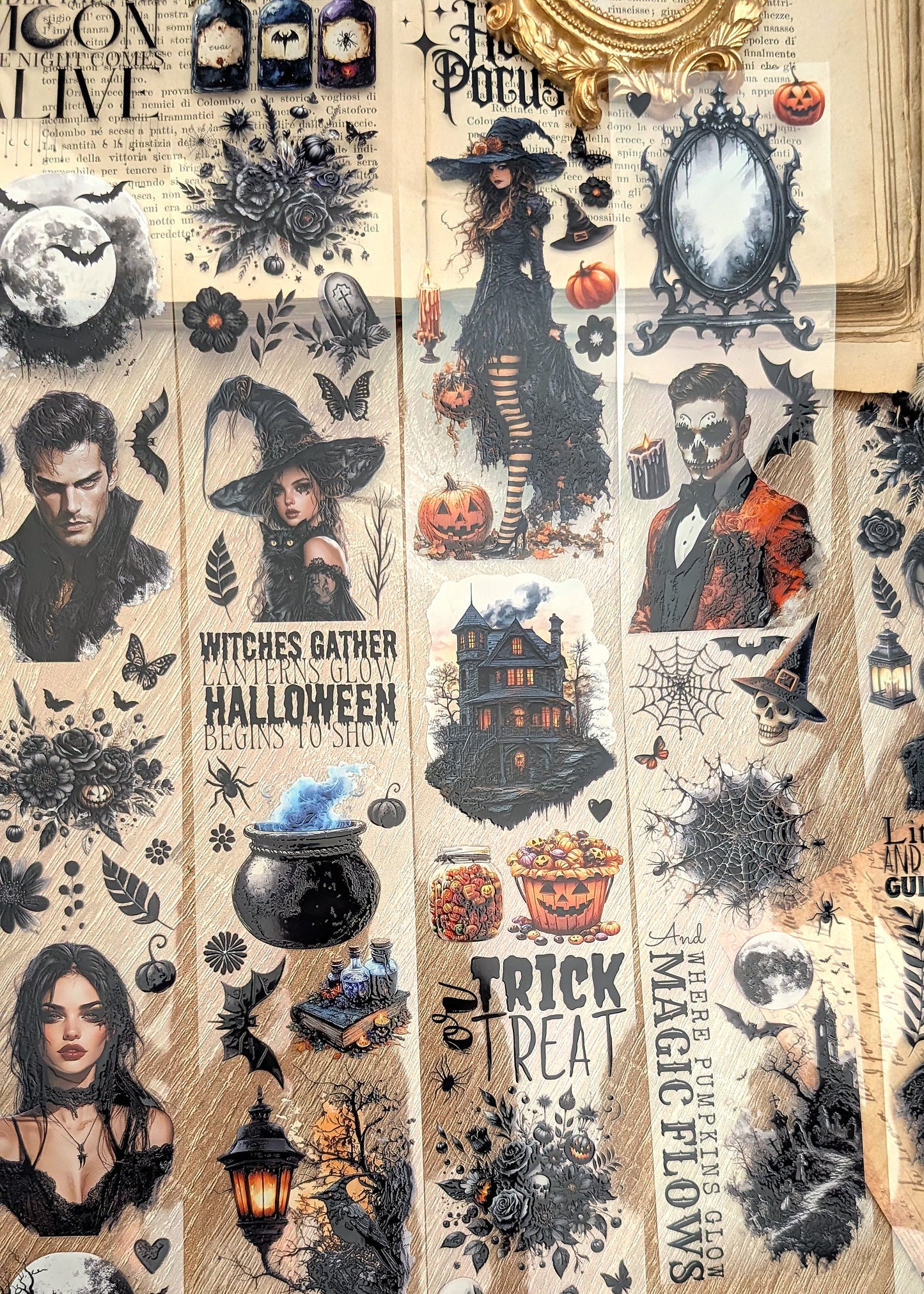 Halloween Night