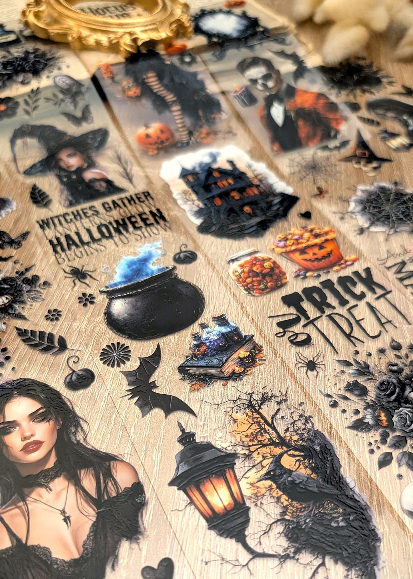 Halloween Night
